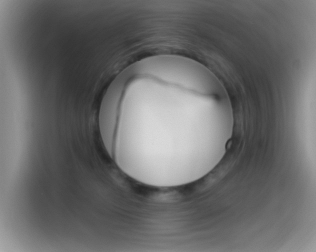 X0000114500278200910191142