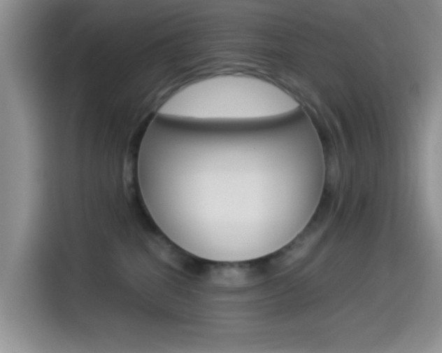 X0000114500282200910191143