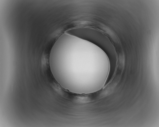 X0000114500284200910191143