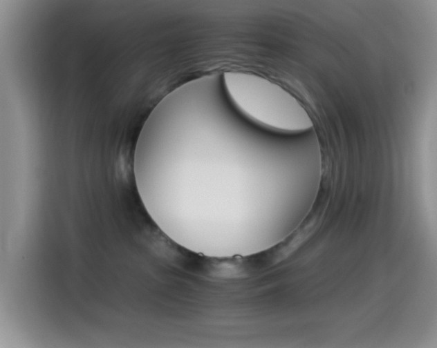 X0000114500285200910191143