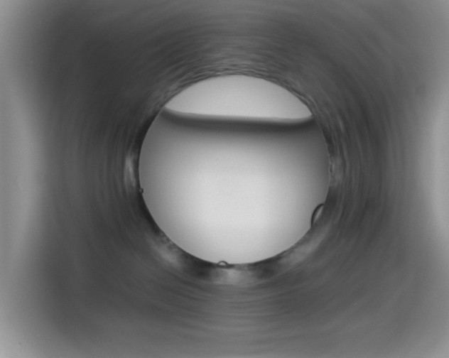 X0000114500286200910191143