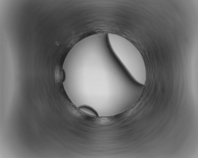 X0000114500287200910191143