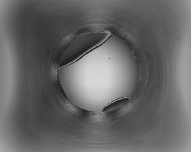 X0000114500288200910191143