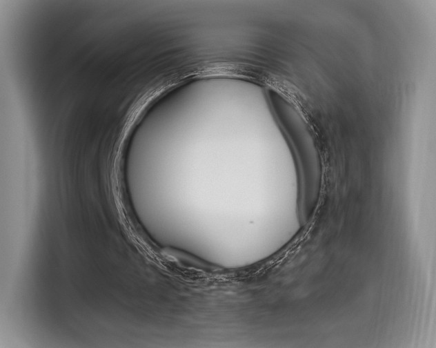 X0000114500289200910191142