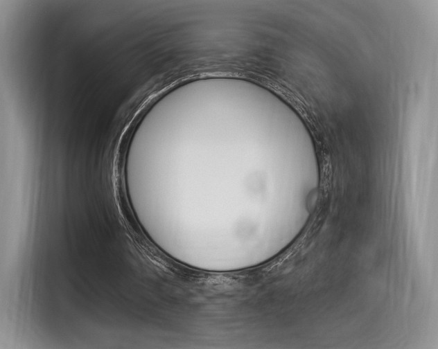 X0000114500290200910191142