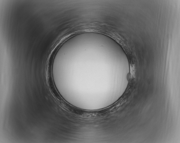 X0000114500291200910191142