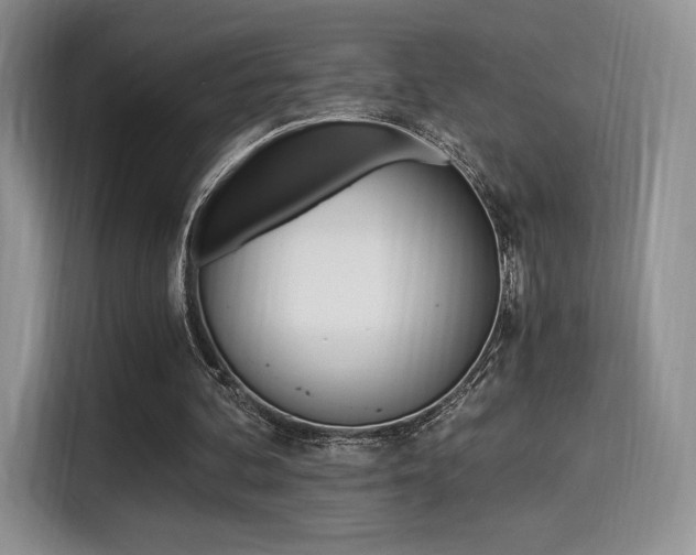 X0000114500292200910191142