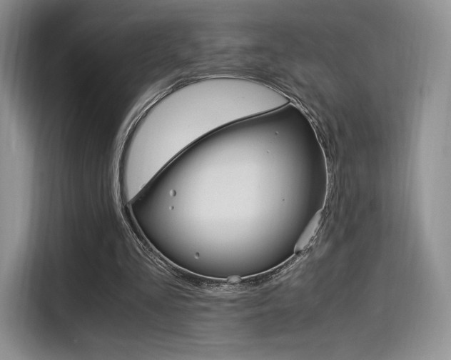 X0000114500293200910191142