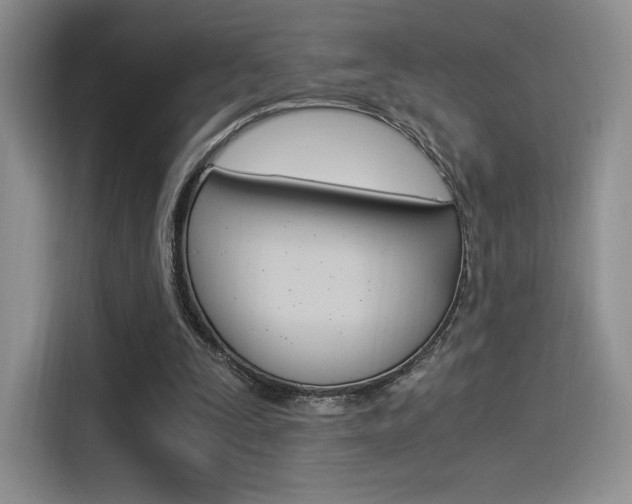 X0000114500295200910191142