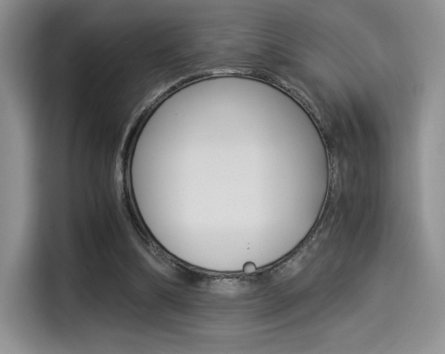 X0000114500298200910191142