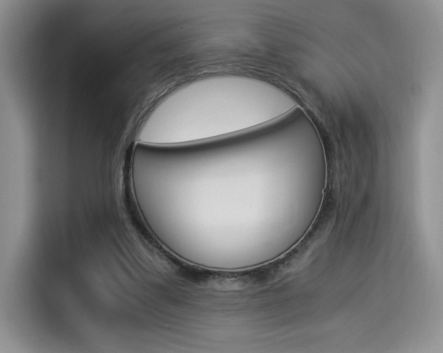X0000114500299200910191142