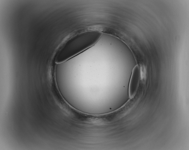 X0000114500300200910191142