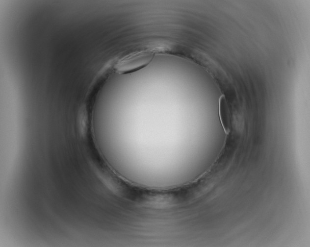 X0000114500304200910191142