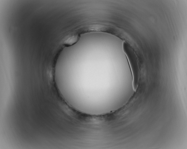 X0000114500305200910191142