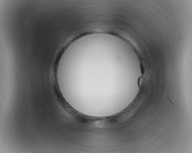 X0000114500306200910191142