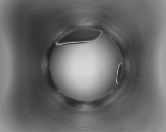 X0000114500308200910191142