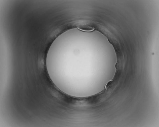 X0000114500309200910191142