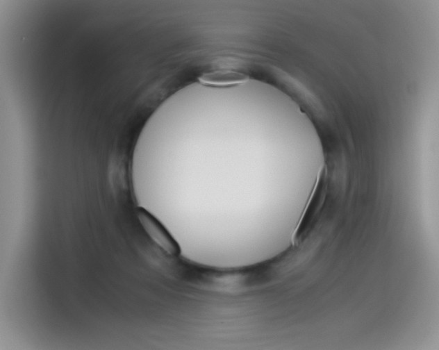 X0000114500313200910191142