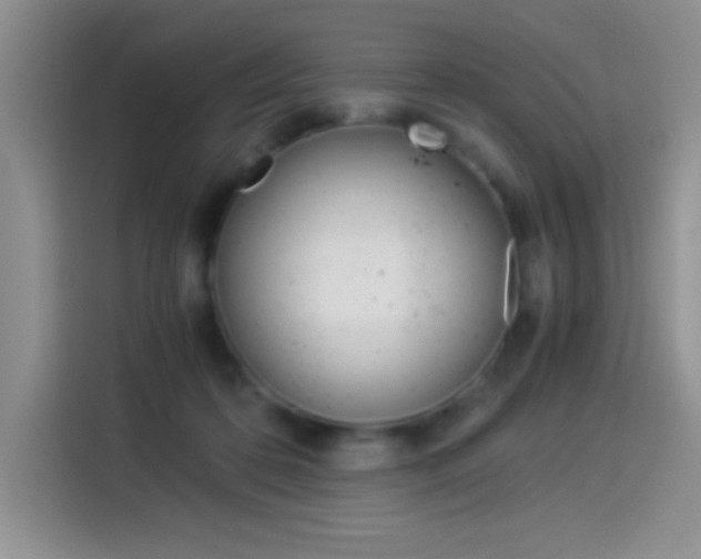 X0000114500316200910191142