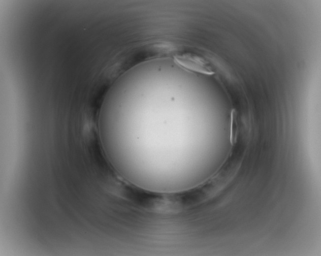 X0000114500320200910191142