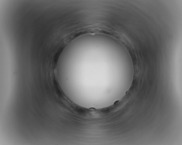 X0000114500324200910191142