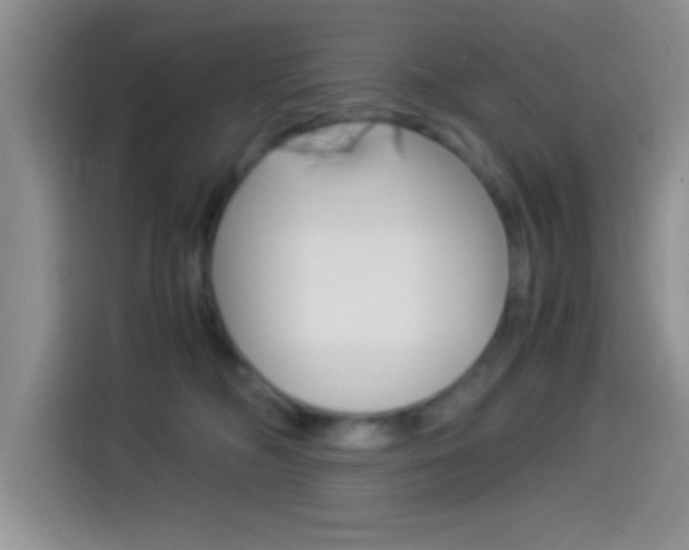 X0000114500326200910191141