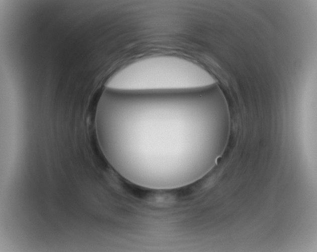 X0000114500327200910191141