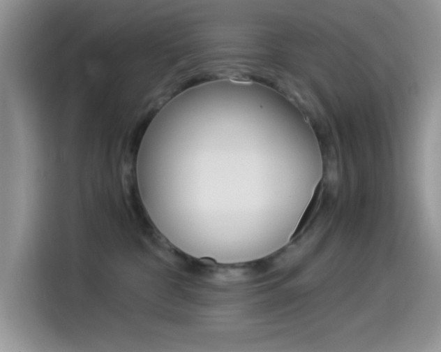 X0000114500332200910191141