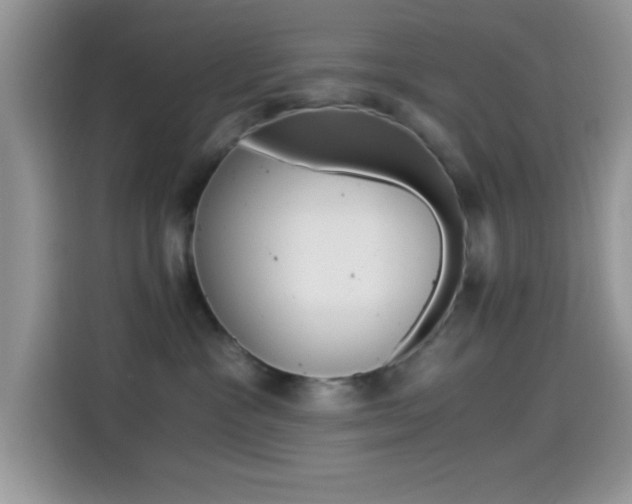 X0000114500333200910191141