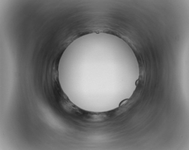 X0000114500334200910191141