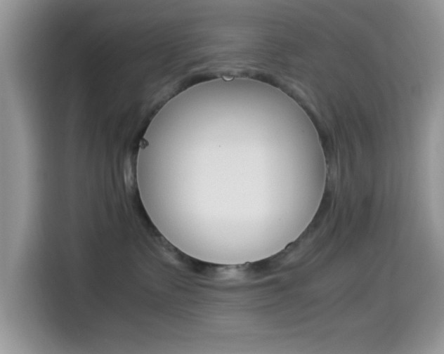 X0000114500335200910191141