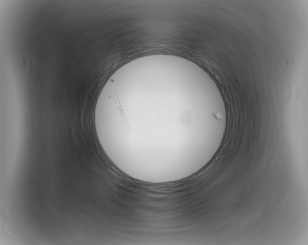 X0000114500336200910191141