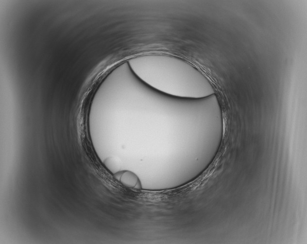 X0000114500339200910191141