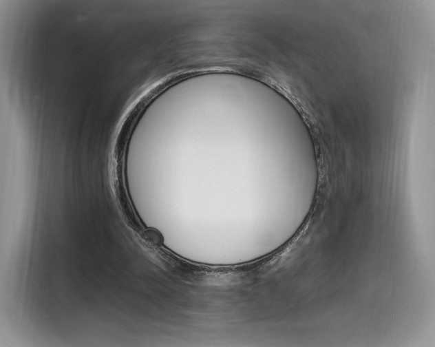 X0000114500342200910191141