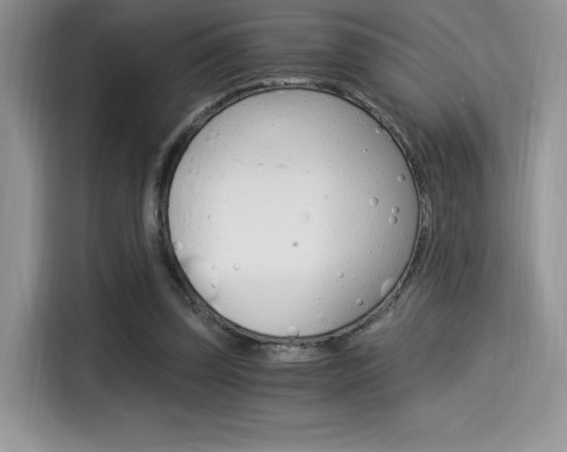 X0000114500347200910191141