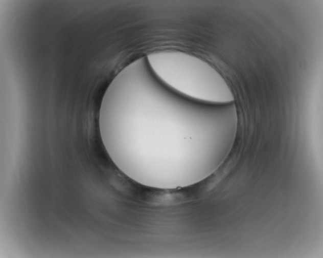 X0000114500379200910191141