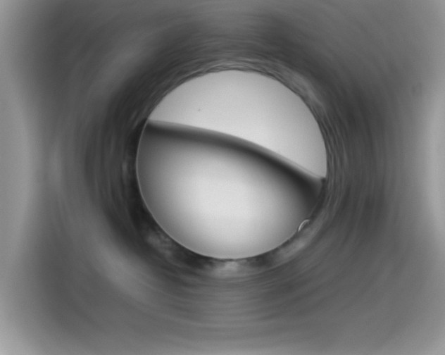X0000114500382200910191141