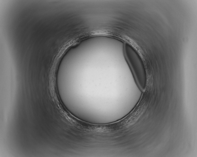 X0000114500385200910191141
