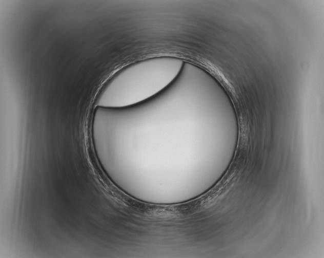 X0000114500386200910191141