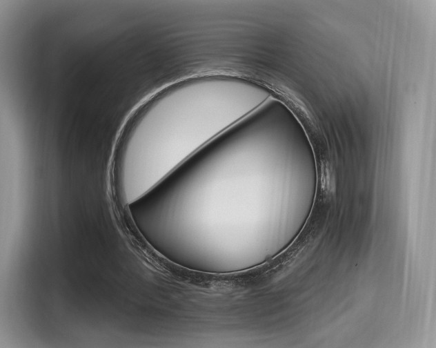 X0000114500388200910191141