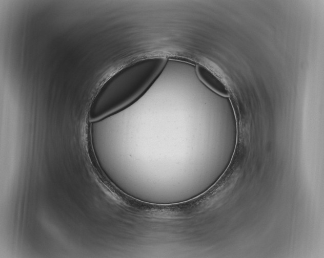 X0000114500389200910191141