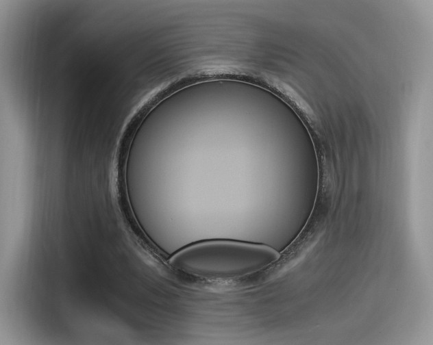 X0000114500391200910191141