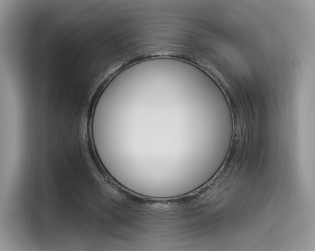 X0000114500394200910191141