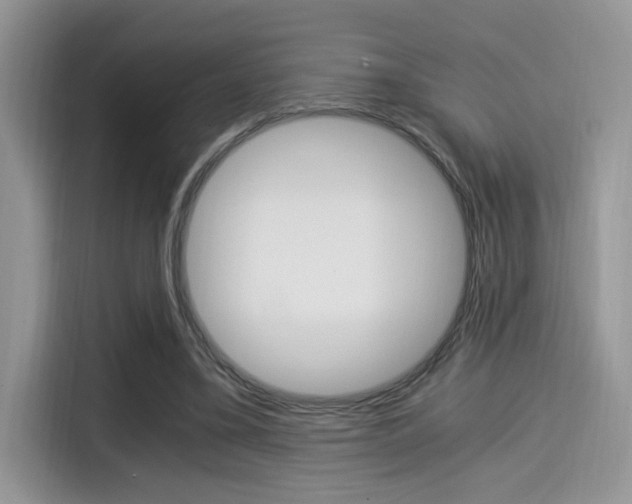 X0000114500395200910191141