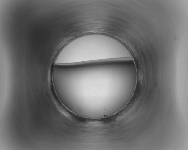 X0000114500397200910191141