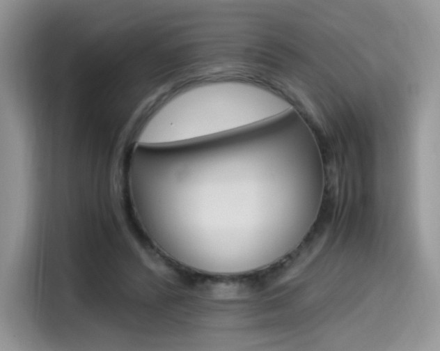 X0000114500400200910191141