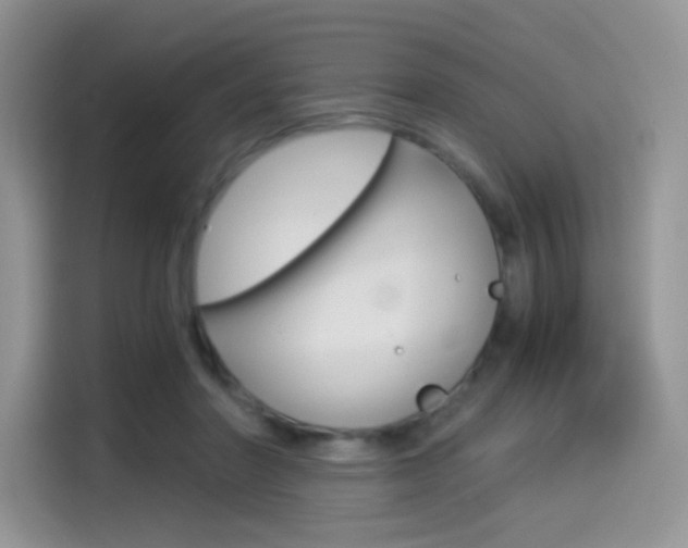 X0000114500406200910191140