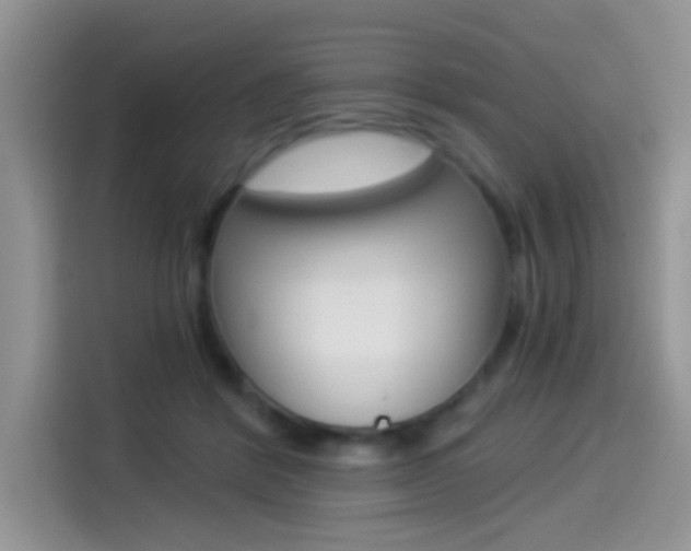 X0000114500412200910191140