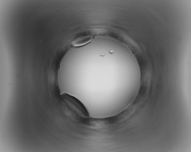 X0000114500417200910191140