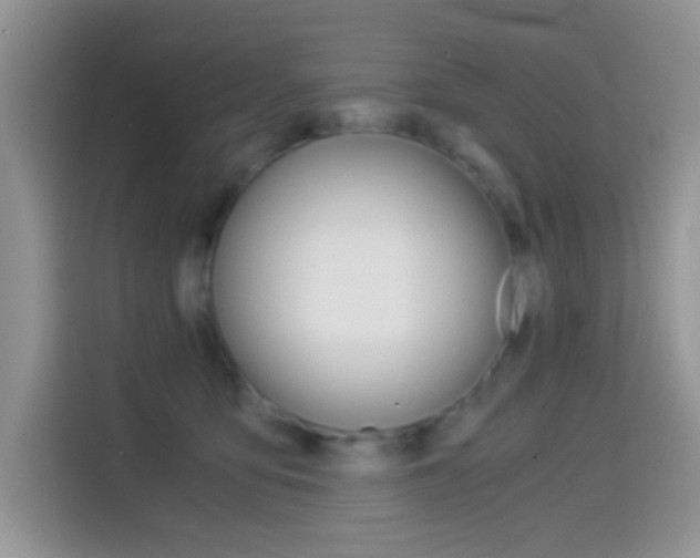 X0000114500419200910191140